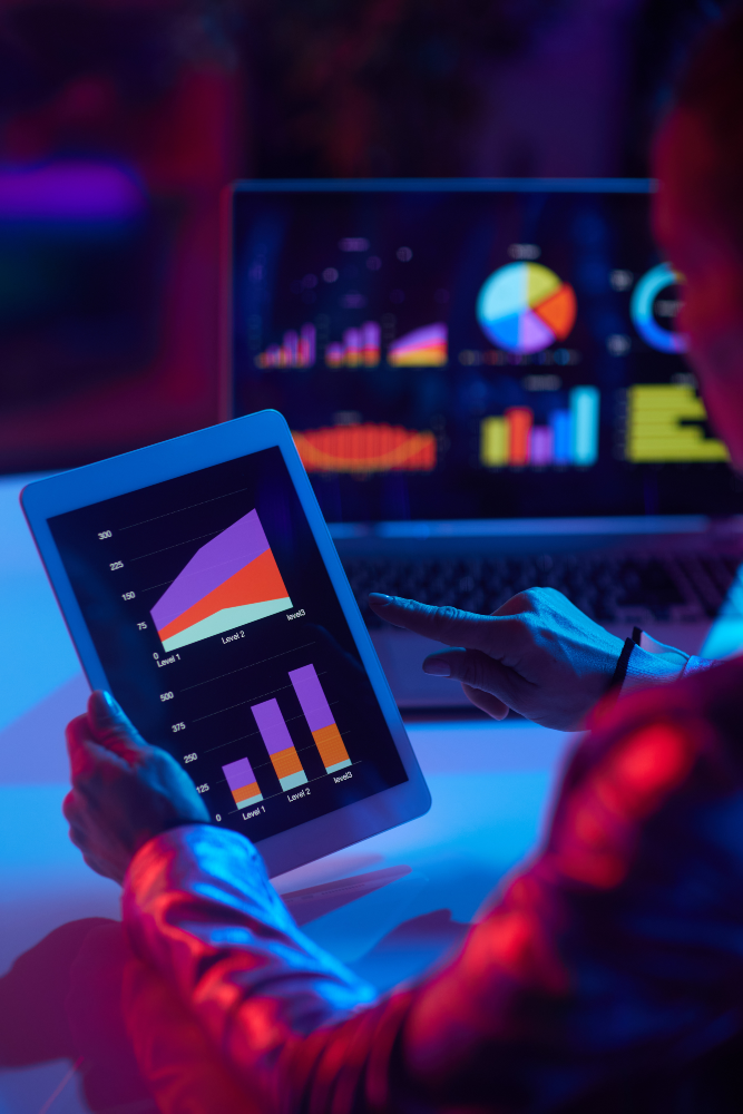 audit web