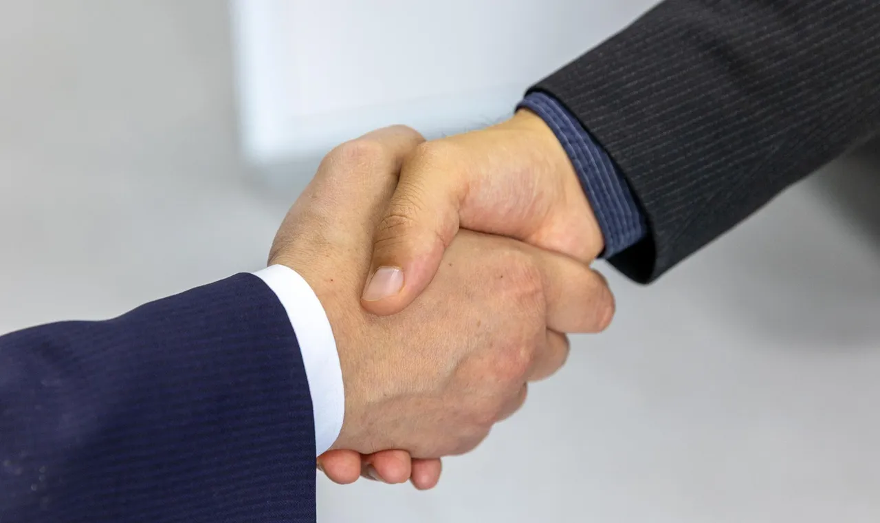 Accompagnement SEO d'une entreprise martiniquaise — mission de référencement NEWP